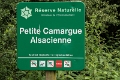 150627_Petit Camargue_011